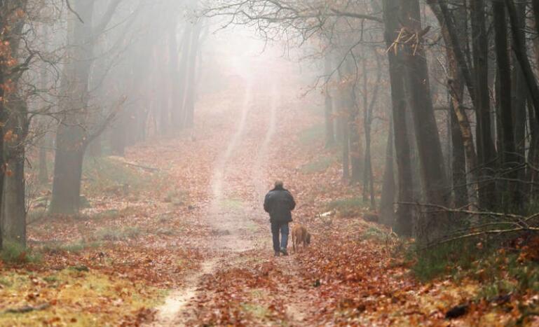 文章句子文案摘抄大全