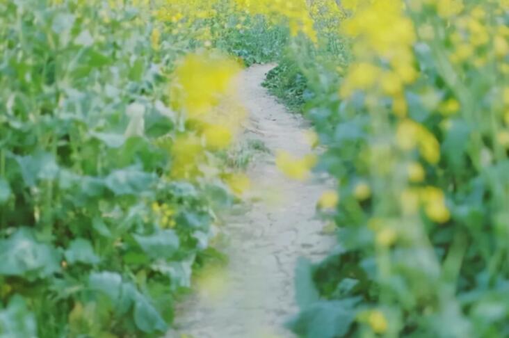 唯美的英文句子文案治愈系