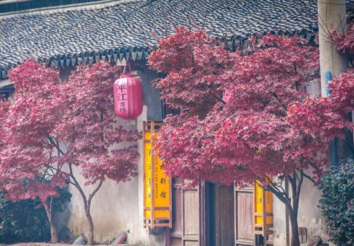 表达随心的诗句文案