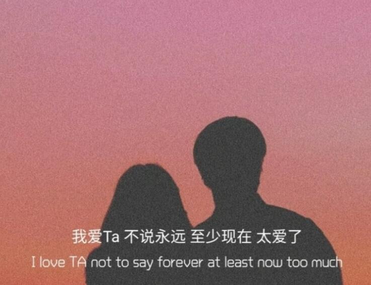 为爱付出的经典句子文案