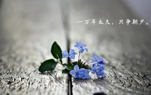 励志充满正能量的说说文案