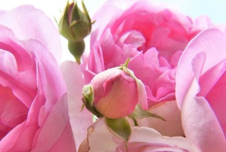 多么朴实的一句话