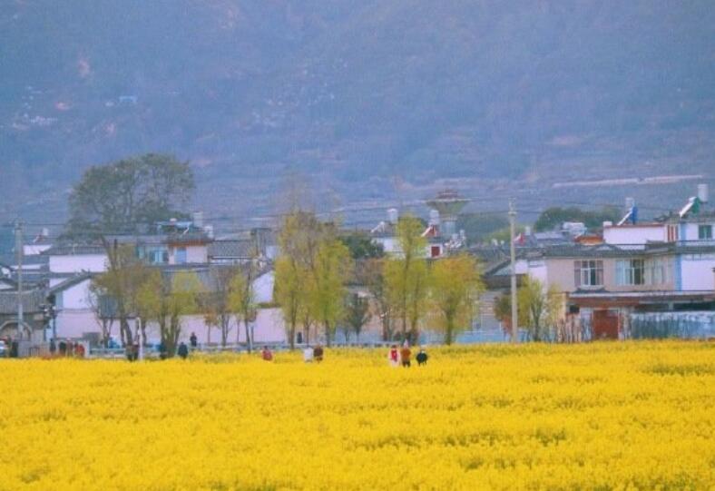 哲理句子文案精辟