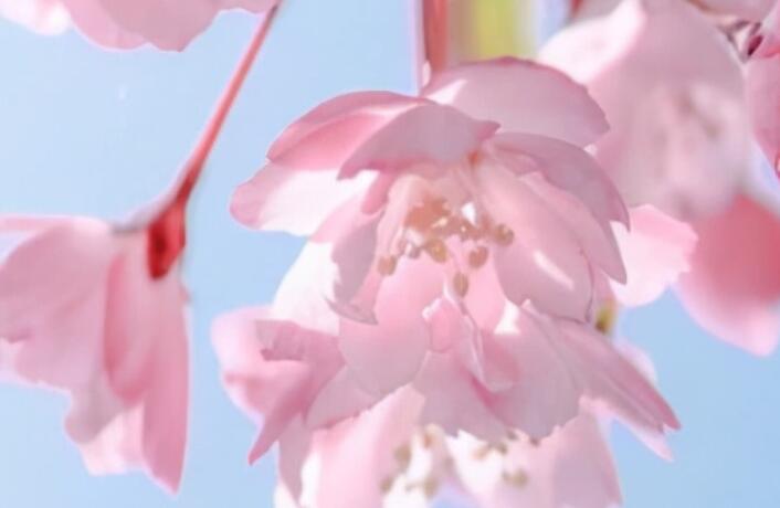 3～6个字简洁唯美句子文案