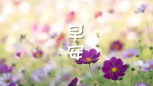 优秀的早安心语