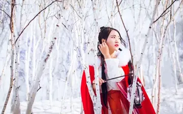 古文很拽的句子文案