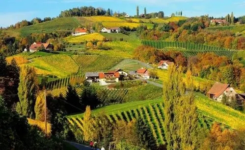 描写乡村的句子文案四年级