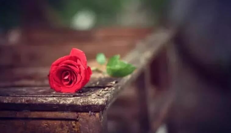 唯美的句子文案历史