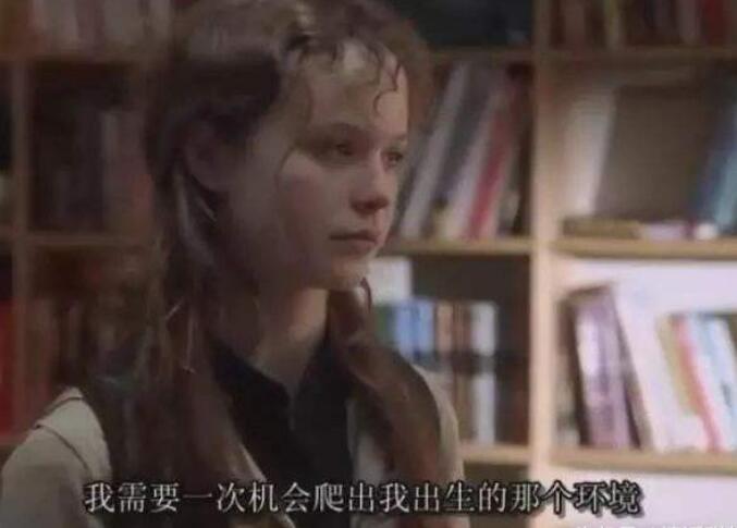 风雨哈佛路经典台词