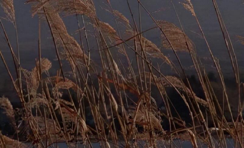 焦虑的句子文案