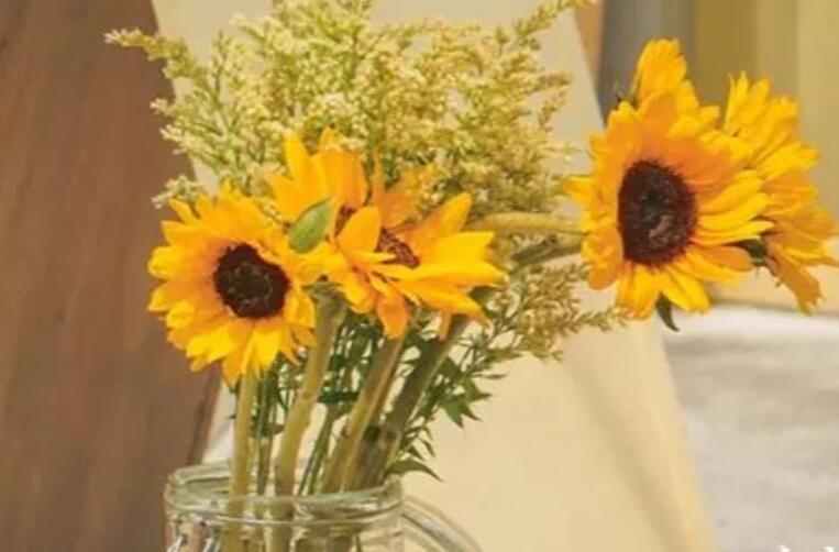 描写善良的句子文案