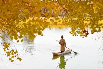 带秋字的古诗词100首