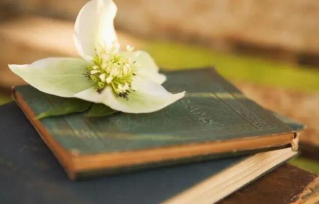 儿童读书的好处名言