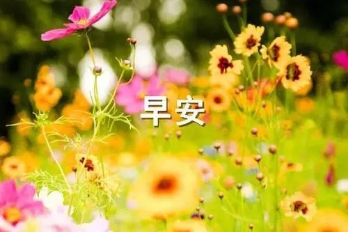 早安暖心话正能量一句话