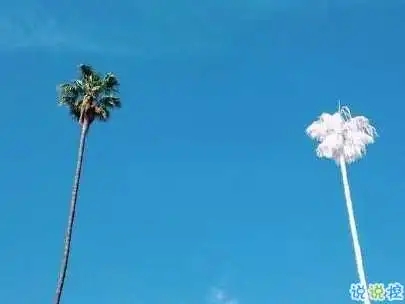 新的一月努力奋斗的句子文案