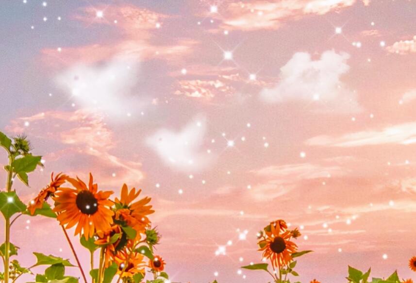 正能量简单喜欢一句话