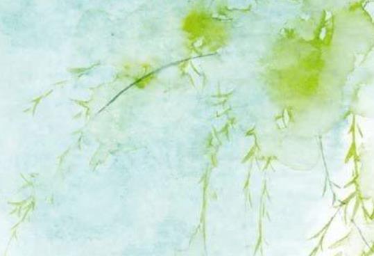 四年级优美句子文案