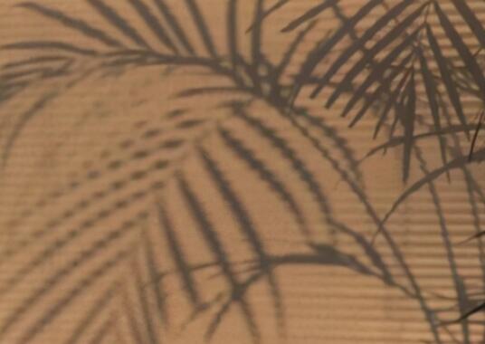 美好一天的心情文案