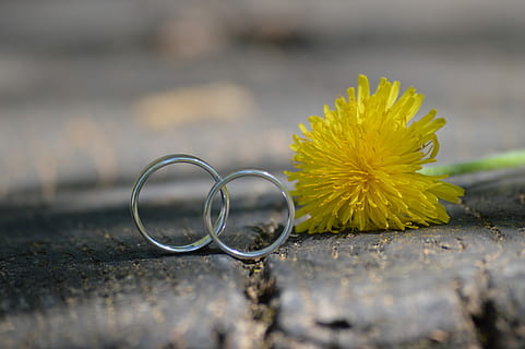 等你情话的句子文案