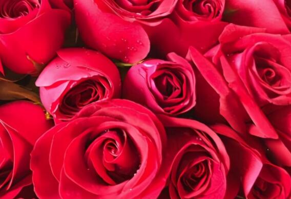 女友心情低落安慰的话