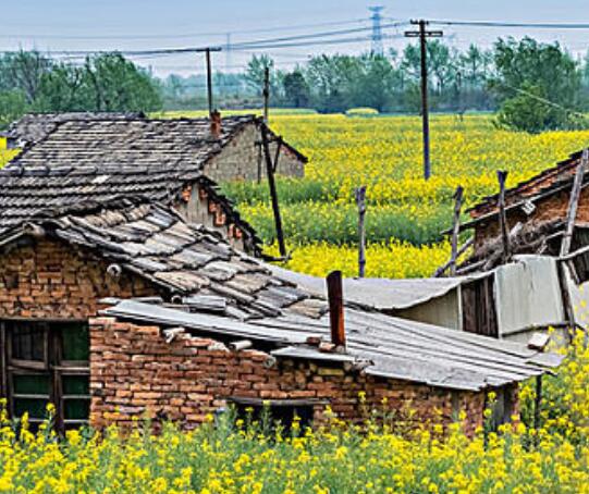 乡村生活的优美句子文案