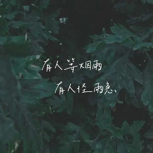 描写下雨的句子文案