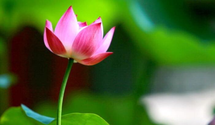 还有什么描写颜色的短语