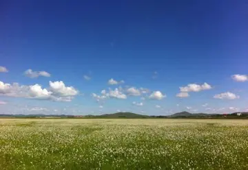 草原放松心情的说说文案短句