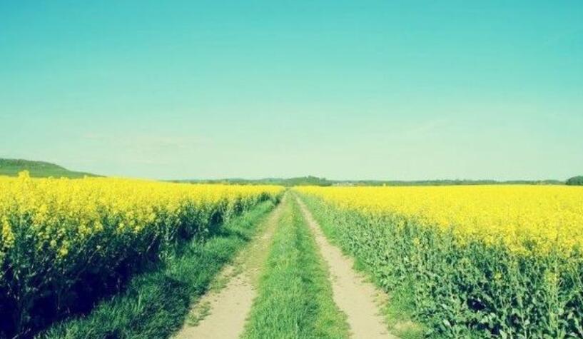 名言名句文案及感悟