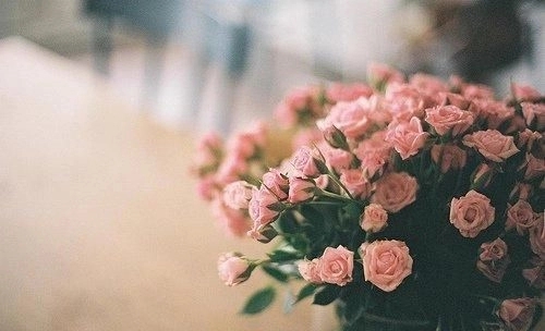 关于情感伤痛的语句文案