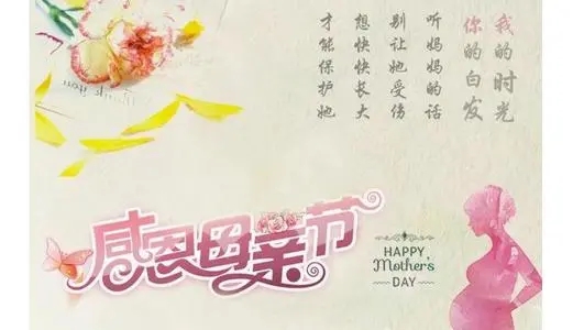 关于母爱的优美句子文案