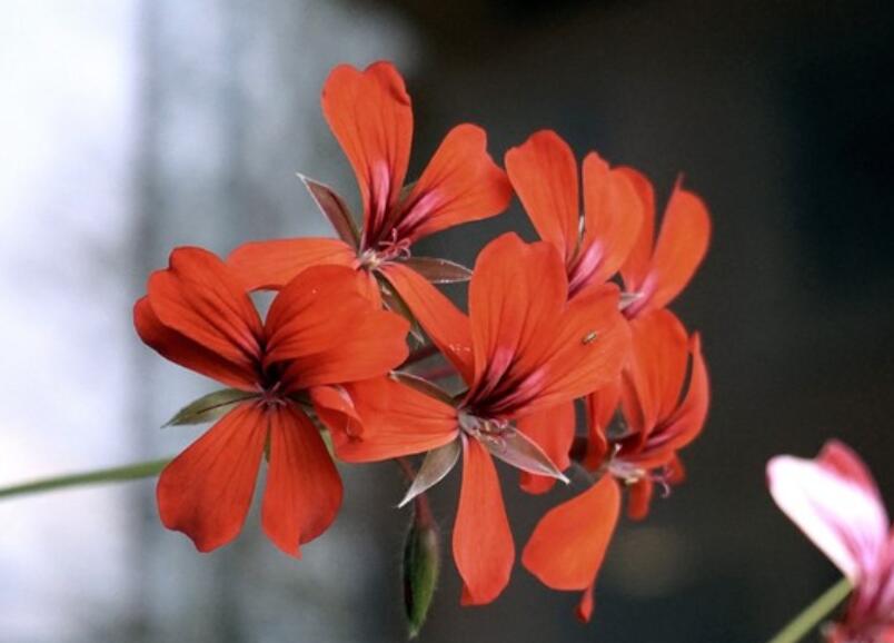 早上祝福语正能量