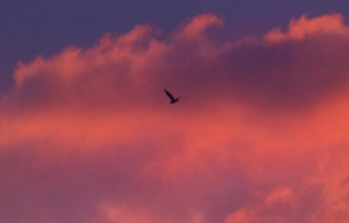 暗示自己失眠的句子文案