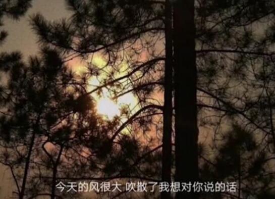 关于风的伤感说说文案