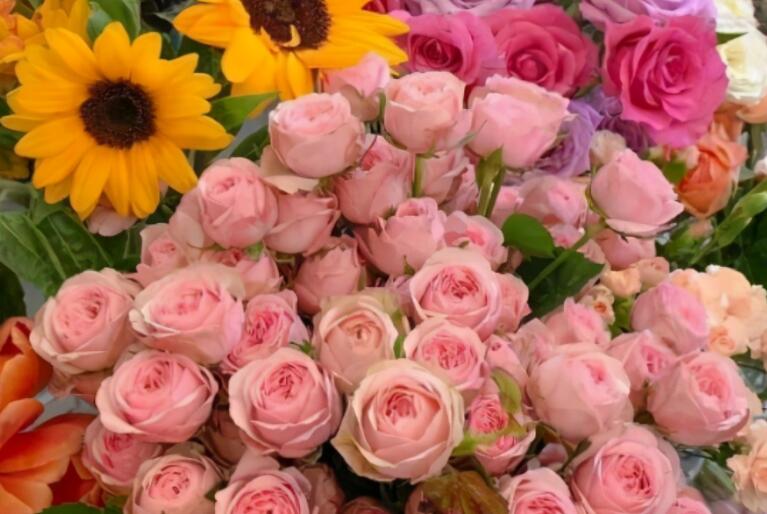 表白女生的短句子文案