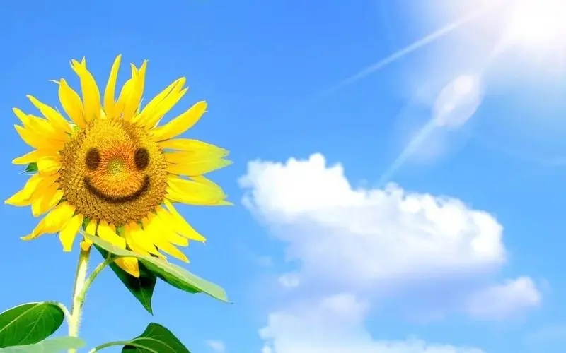 笑容灿烂的唯美句子文案