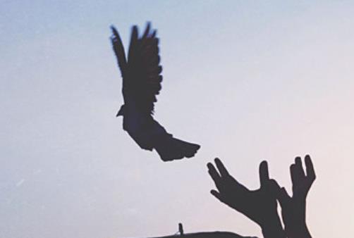 感悟人际关系的经典句子文案