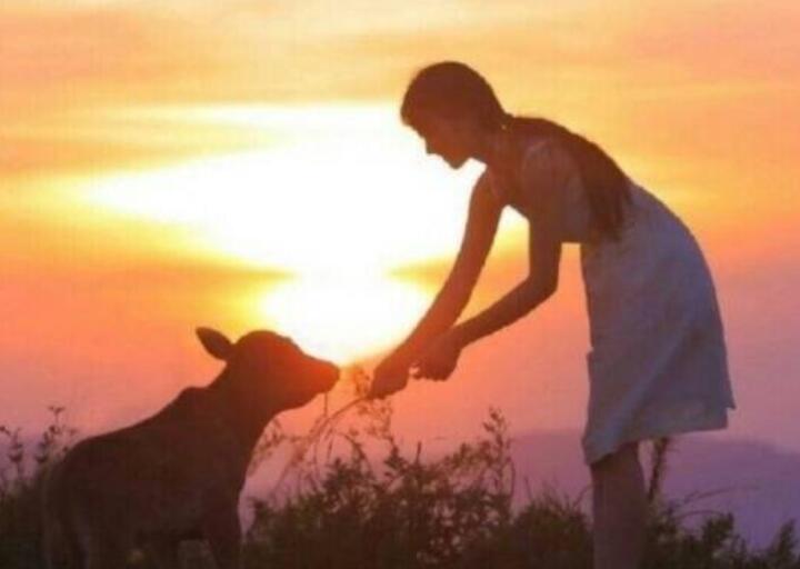 特别喜欢一首歌的说说文案