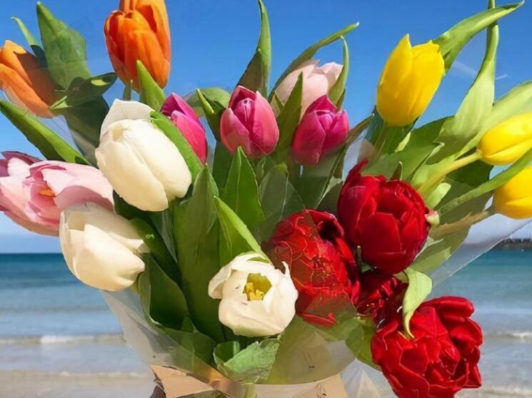 致自己的话十字