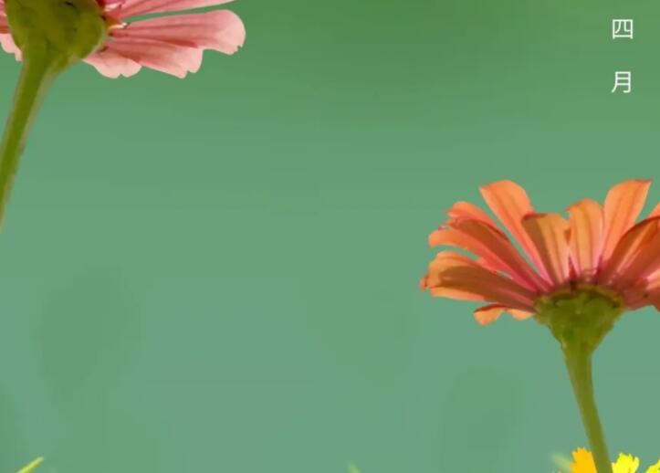 再见三月你好四月短语