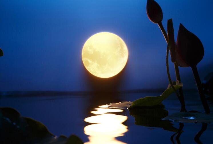 古诗《中秋》四句古诗