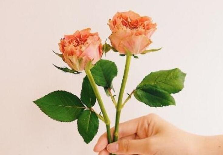 对小三说的暖心话短句