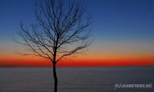 领悟人生的唯美句子文案