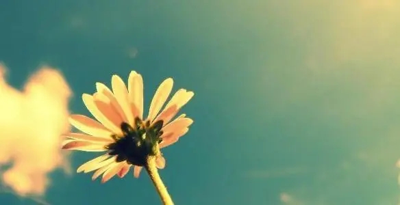 暖心正能量简短句子文案