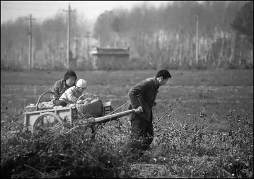 八十年代怀旧语录文案