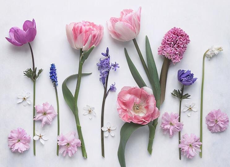 六一节祝福语大全感动