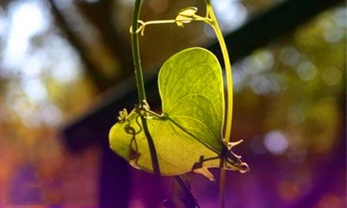 有深度的短句10字以内