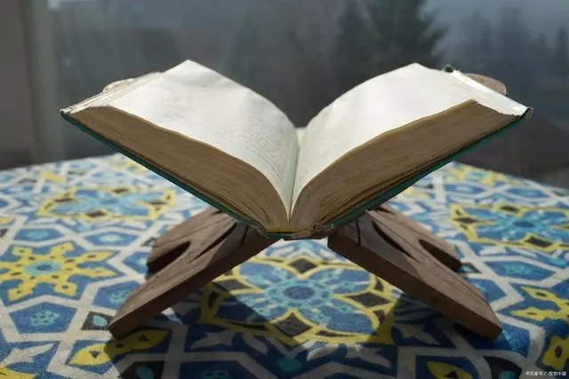 好的开头摘抄大全