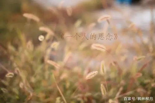 伤心难过的古诗句子文案