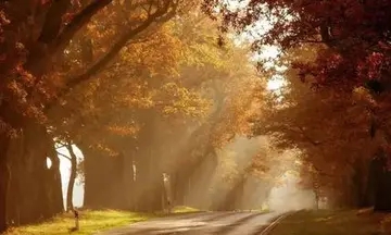 难过的英文说说文案带翻译短句